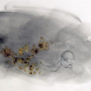 Lament/Preserve 14 / 2011
