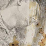 Lament/Preserve 3 / detail